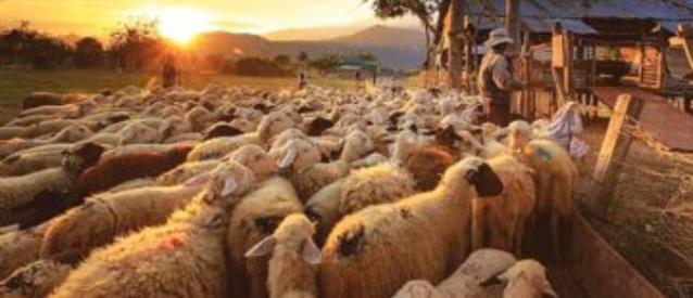 Βουλή: Κατατέθηκε το νομοσχέδιο για ενίσχυση της πρότυπης κτηνοτροφίας