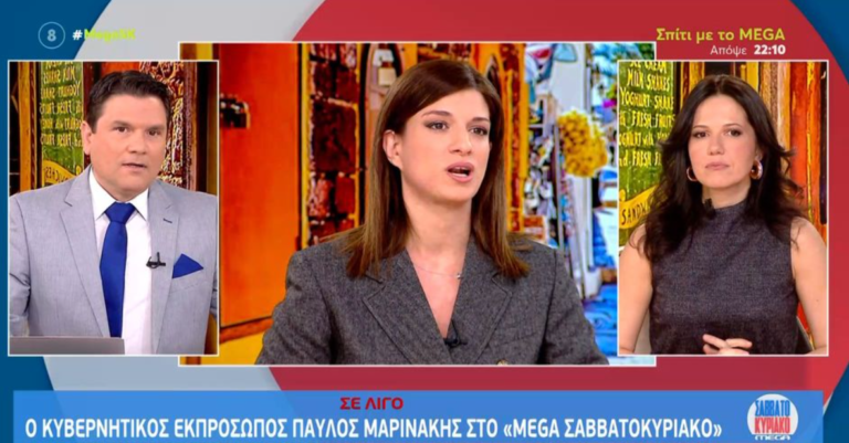 K. Νοτοπούλου: «Ο ΣΥΡΙΖΑ χρειάζεται πολιτική ενότητα και ομοψυχία» (VIDEO)