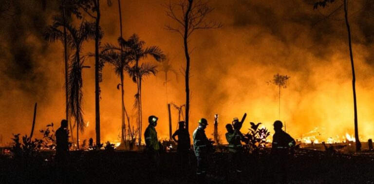 Βενεζουέλα: 12 συλλήψεις μετά τις καταστροφικές δασικές πυρκαγιές