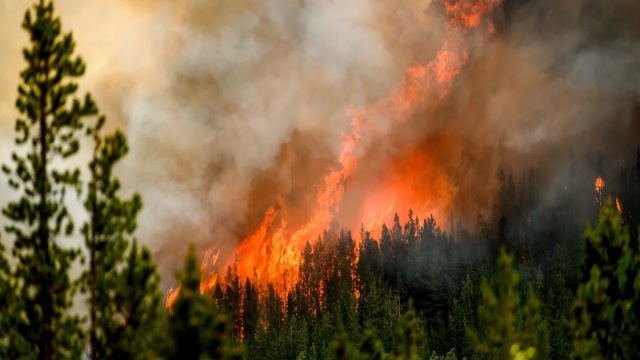 Πυρκαγιές: 71 μέτωπα μέσα σε 12 ώρες – “Συναγερμός” στην Πολιτική Προστασία σε έξι περιοχές λόγω των ισχυρών ανέμων