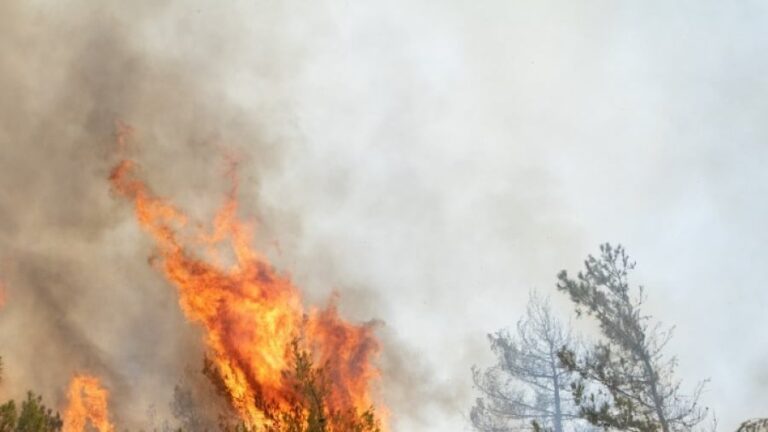 Πυρκαγιές: Σε ετοιμότητα επιπέδου 4 η Πολιτική Προστασία σε αρκετές Περιφέρειες – Δεν υπάρχουν εστίες φωτιάς στο Λασίθι