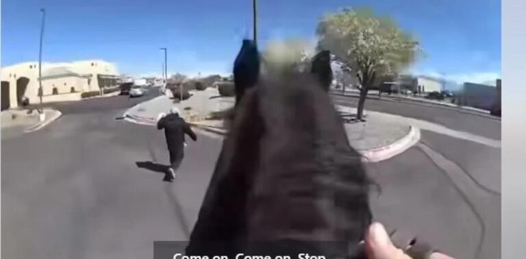 Viral καταδίωξη κλέφτη από αστυνομικό πάνω σε άλογο