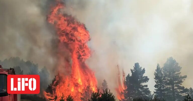 Φωτιά στα Πιέρια Όρη: Οι φλόγες έφτασαν σε υψόμετρο 1.900 μέτρων | LiFO