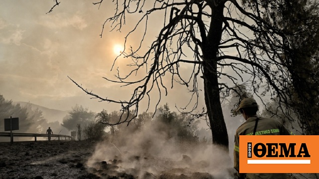 71 πυρκαγιές σε 12 ώρες – Σε ετοιμότητα η Πολιτική Προστασία σε έξι περιοχές λόγω των ισχυρών ανέμων