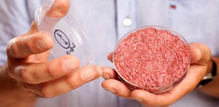 Η Φλόριντα ποινικοποίησε το κρέας εργαστηρίου: «Η παγκόσμια ελίτ θα μας πάρει τις μπριζόλες»