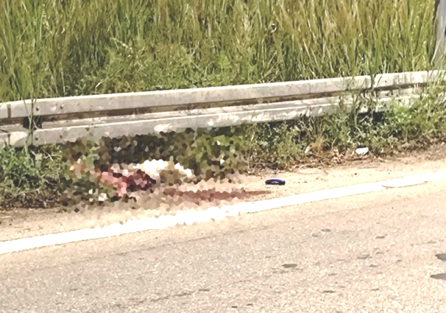 Δυτ. Ελλάδα: Σε σοβαρή κατάσταση 22χρονος μοτοσικλετιστής που συγκρούστηκε με αδέσποτο (ΦΩΤΟ)