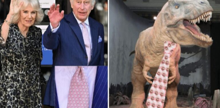 Ο βασιλιάς Κάρολος «μαγνητίσε» ξανά τα βλέμματα φορόντας ροζ γραβάτα με δεινόσαυρο!