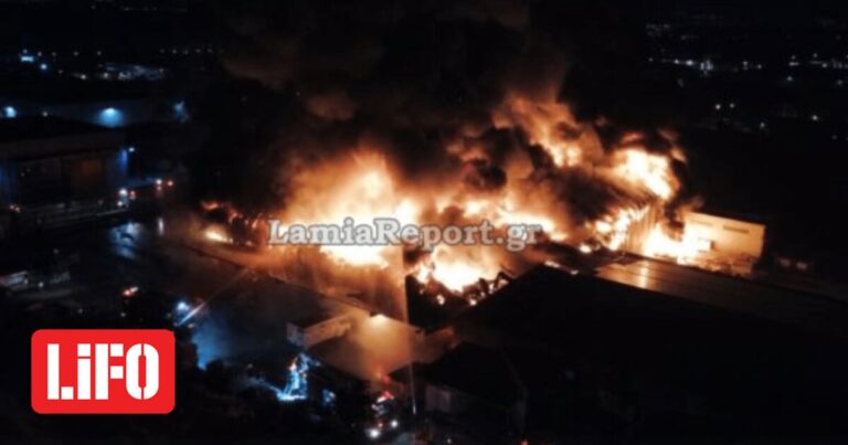Φωτιά σε εργοστάσιο στη Λαμία: Εμπρησμό δείχνει το πόρισμα της Πυροσβεστικής | LiFO