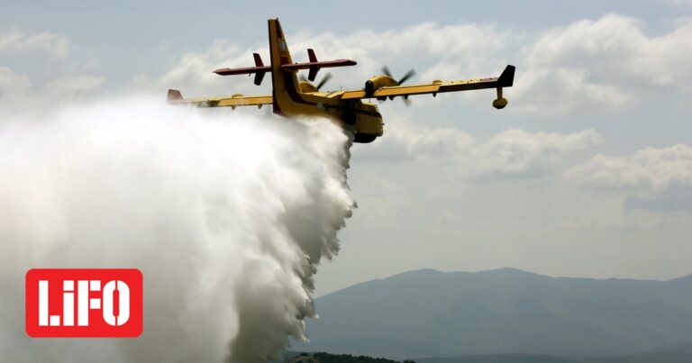 Φωτιά στη Βοιωτία: Ισχυρές δυνάμεις της πυροσβεστικής στην περιοχή – Σηκώθηκαν αεροσκάφη | LiFO