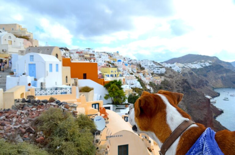 Πόσο pet friendly προορισμός είναι η Ελλάδα;