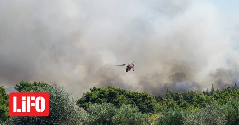 Φωτιά καίει δάσος στον Μύτικα Λακωνίας | LiFO