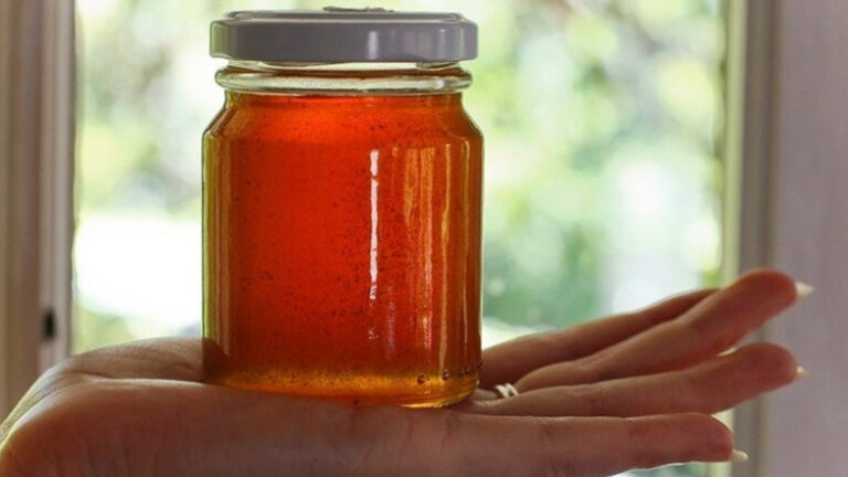 Κλιματική αλλαγή και ελληνοποιήσεις «χτυπούν» το ελληνικό μέλι