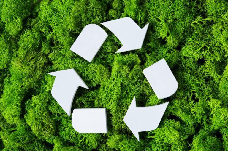 Κυκλική Οικονομία: Έμφαση στην επαναχρησιμοποίηση και την ανακύκλωση