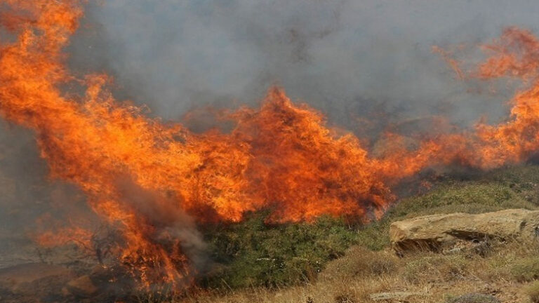 Διάσπαρτες εστίες φωτιάς στην περιοχή της Δάρδιζας στην Αργολίδα