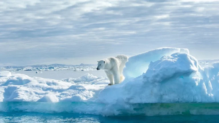 Καταψύχοντας ξανά τη γη – Το σχέδιο των ειδικών για τη διάσωση της Αρκτικής