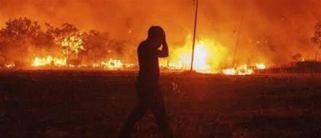 Φωτιές – Τουρκία: Δεκάδες νεκροί και νέα μέτωπα (εικόνες)