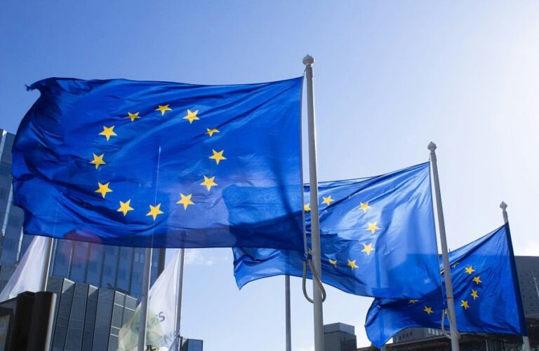 Ευρωεκλογές 2024: Κρίσιμη κάλπη για την οικονομία και την κοινωνία
