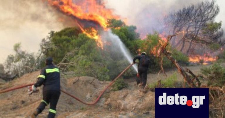 Κίνδυνος πυρκαγιάς – Στο “κίτρινο” η Δυτική Ελλάδα σήμερα, Πέμπτη