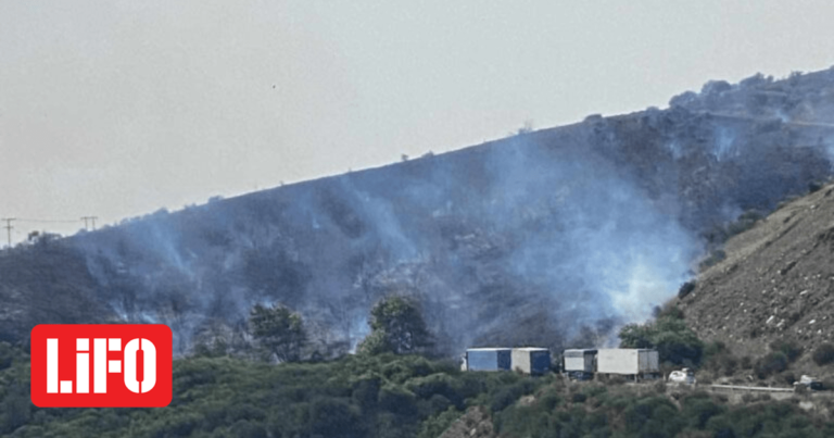 Φωτιά στην Εθνική οδό Ιωαννίνων Καλαμπάκας – 112 για απομάκρυνση των κατοίκων