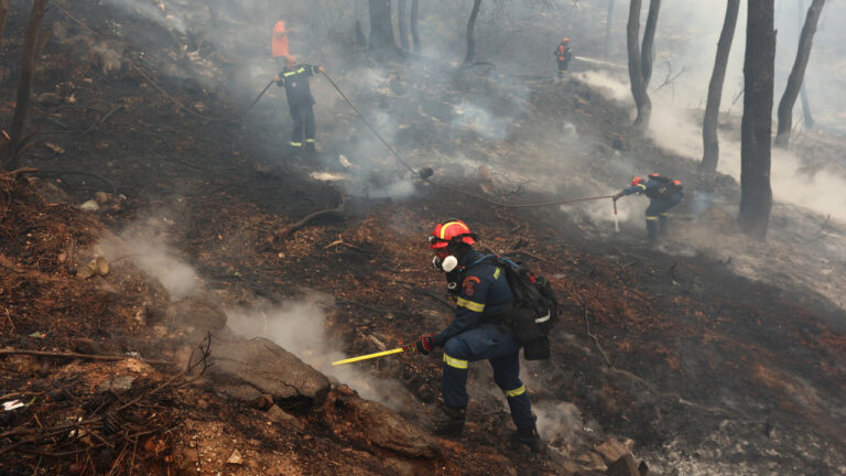 Φωτιές- Ελλάδα: 41 πυρκαγιές εκδηλώθηκαν το τελευταίο εικοσιτετράωρο