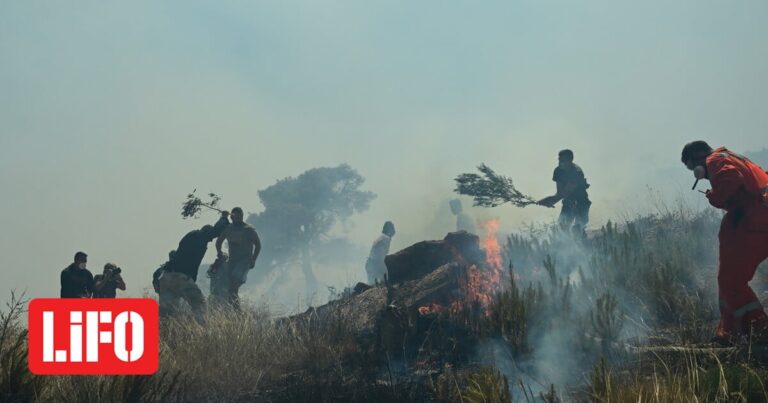 Φωτιά στην Κερατέα: Συνεχείς αναζωπυρώσεις – Κάηκαν σπίτια