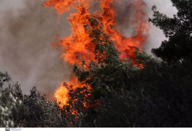 Πολιτική Προστασία: Σε 11 περιοχές πολύ υψηλός κίνδυνος πυρκαγιάς την Παρασκευή
