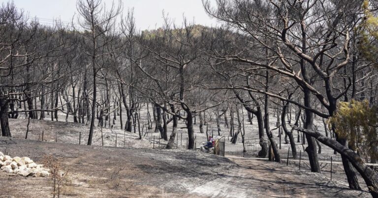 Πυρκαγιές: Τι μάθαμε από τον Έβρο – Τι πρέπει να αλλάξει στην Ελλάδα
