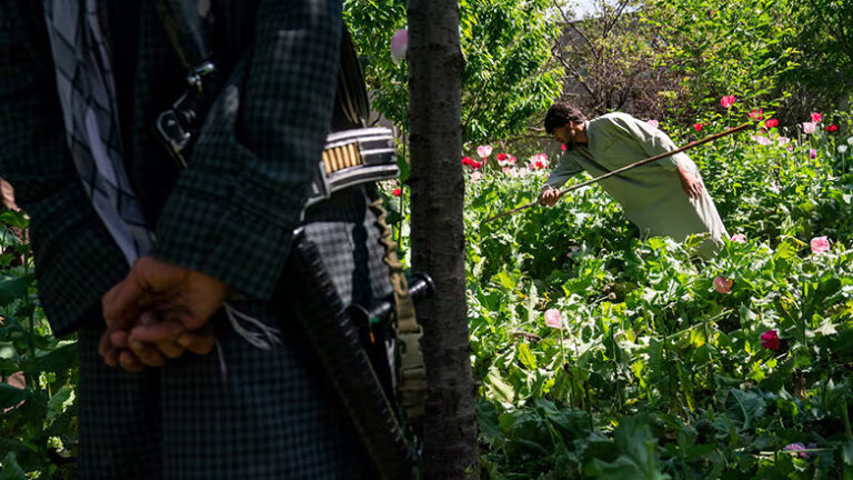 Η απαγόρευση του οπίου από τους Ταλιμπάν κινδυνεύει από την… κλιματική αλλαγή