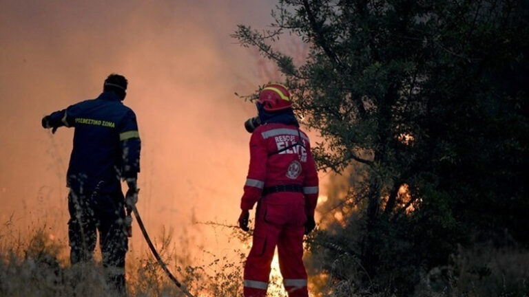 Έβρος: Οριοθετήθηκε η πυρκαγιά που εκδηλώθηκε στην περιοχή της Κορνοφωλιάς