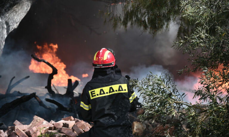Πυρκαγιές: Αντιμετωπίστηκαν οι 32 από τις 34 φωτιές που ξέσπασαν το τελευταίο 24ωρο στην Ελλάδα