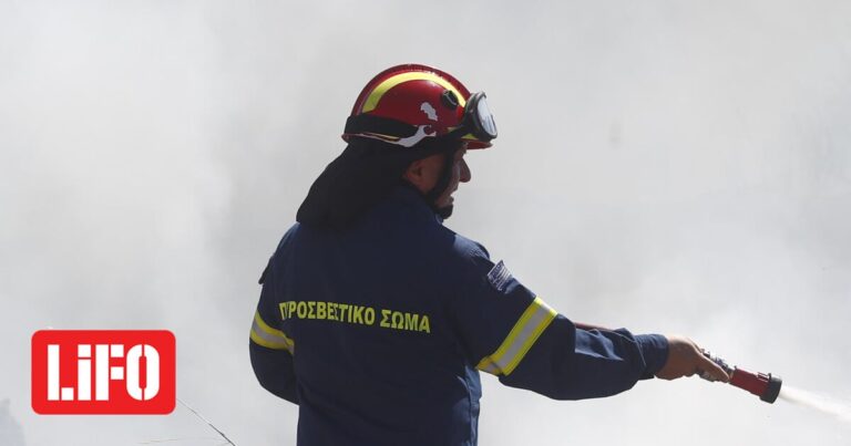 Φωτιά στη Σαλαμίνα: Τέθηκε υπό μερικό έλεγχο – Δύο πυροσβέστες τραυματίστηκαν