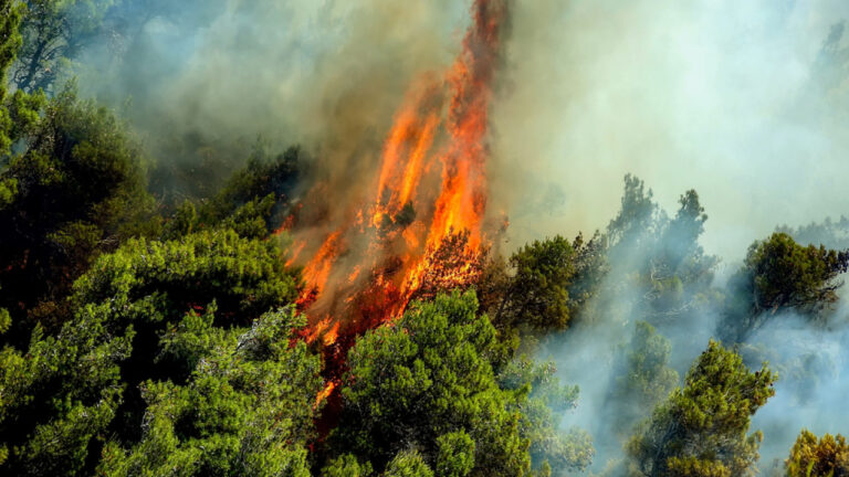 Ελλάδα: 54 φωτιές το τελευταίο 24ωρο