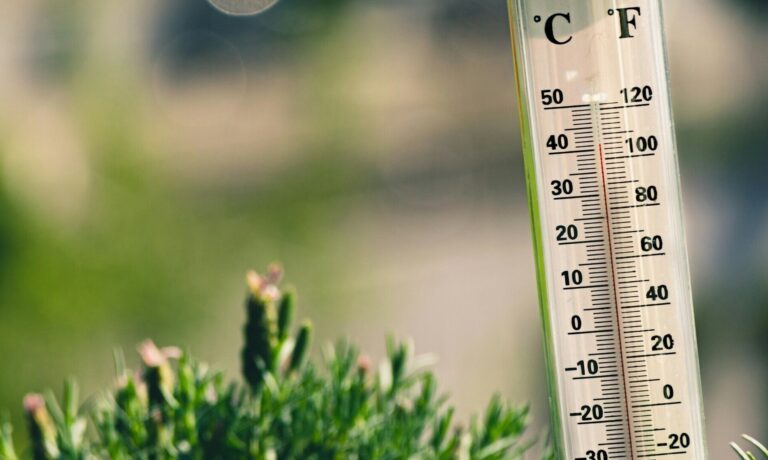 Μεσσηνία: Με 37,8 °C η υψηλότερη θερμοκρασία στην Ελλάδα