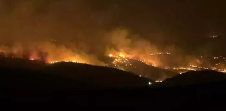 Τουρκία: 11 νεκροί και 44 τραυματίες από μεγάλη αγροτική πυρκαγιά