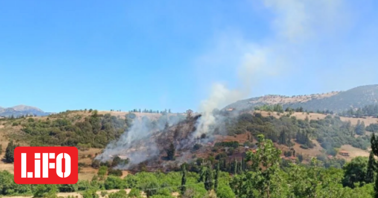 Φωτιά στην Αχαΐα: Σηκώθηκαν εναέρια μέσα | LiFO