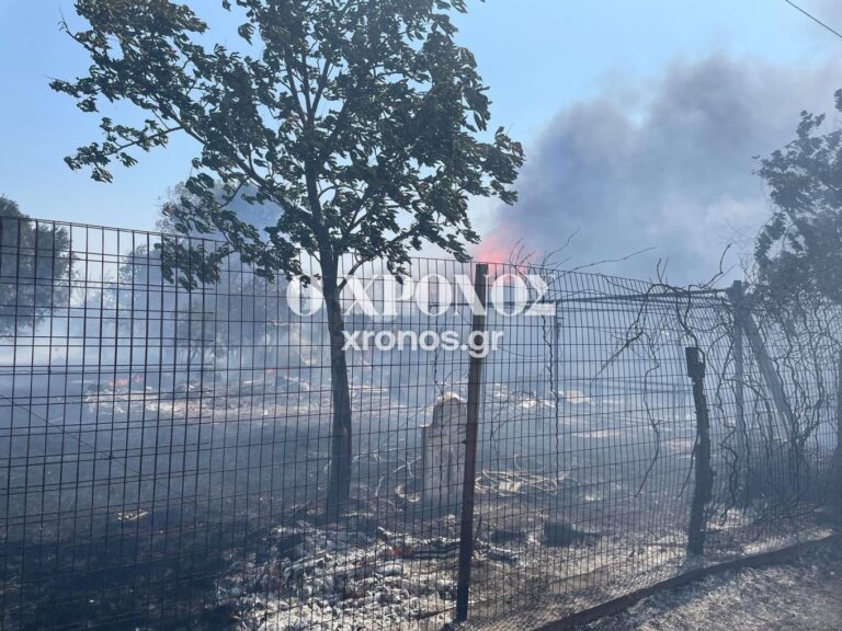 Ροδόπη: Υπό μερικό έλεγχο η πυρκαγιά στο Αρσάκειο