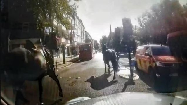 Λονδίνο: Αναστάτωση στο κέντρο με άλογα του στρατού που έτρεχαν πανικόβλητα – Δείτε βίντεο