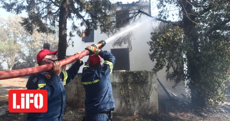 Φωτιά στο Τρίλοφο: Εντοπίστηκαν γκαζάκια- Έρευνες για εμπρησμό