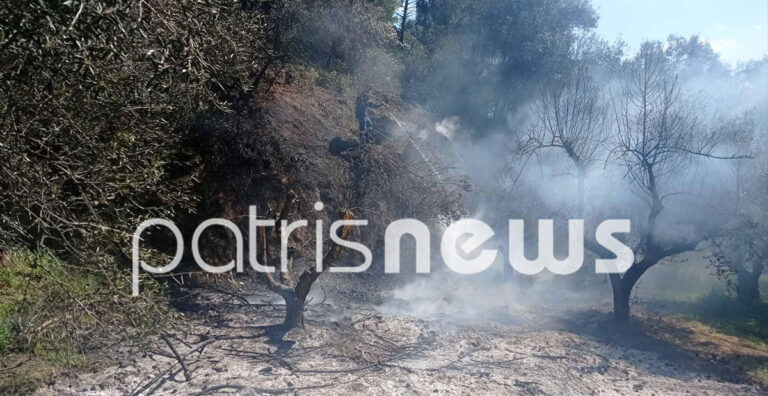 Δήμος Πατρέων: Σε επιφυλακή η Πολιτική Προστασία για πυρκαγιά την Δευτέρα – PatrisNews