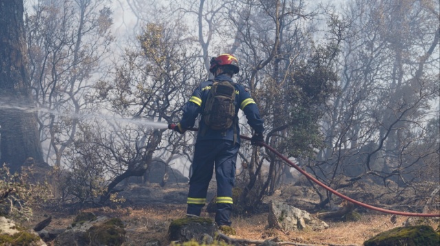Υπό μερικό έλεγχο η φωτιά σε δασική έκταση στα Κρεμαστά Αγρινίου