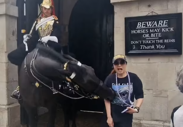 Τουρίστρια λιποθύμησε όταν άλογο της βρετανικής βασιλικής φρουράς την δάγκωσε – Δείτε βίντεο