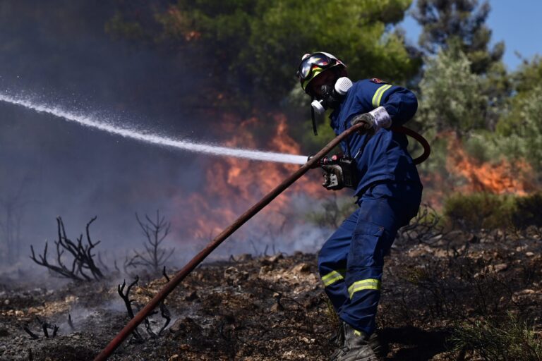 Φωτιά στην Καρυδιά Κομοτηνής – Επιχειρούν επίγεια και εναέρια μέσα (Βίντεο)