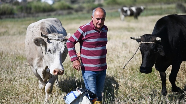 Αδελφοί Τριδήμα: Οι αλλαντοποιοί της Άνδρου