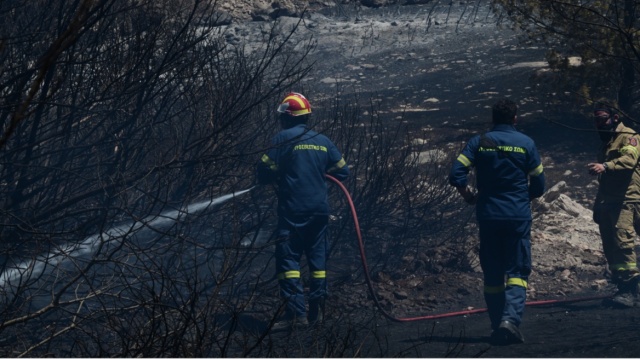 Υπό μερικό έλεγχο η πυρκαγιά στη Λυκούρια Καλαβρύτων