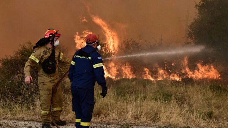 Στάχτη έγιναν 70.000 στρέμματα στην Κορινθία – Από το 2010 έχει καεί το 8% της Περιφέρειας