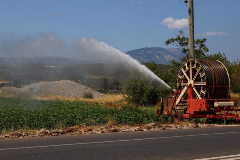 ΕΛΓΑ: Πληρώθηκαν οικονομικές ενισχύσεις €4,7 εκατ.