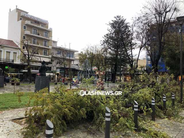 Χανιά: Πτώσεις δέντρων και κατολισθήσεις από την κακοκαιρία Elena – Δείτε φωτογραφίες