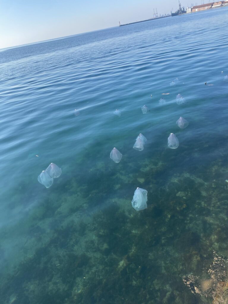 Θεσσαλονίκη: Αλλοδαπές φοιτήτριες βούτηξαν στον Θερμαϊκό κόλπο